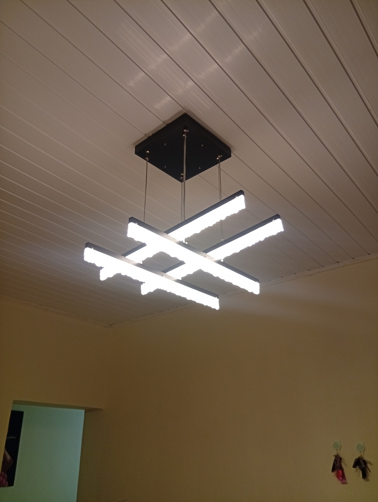 Modern Led chandelier light 