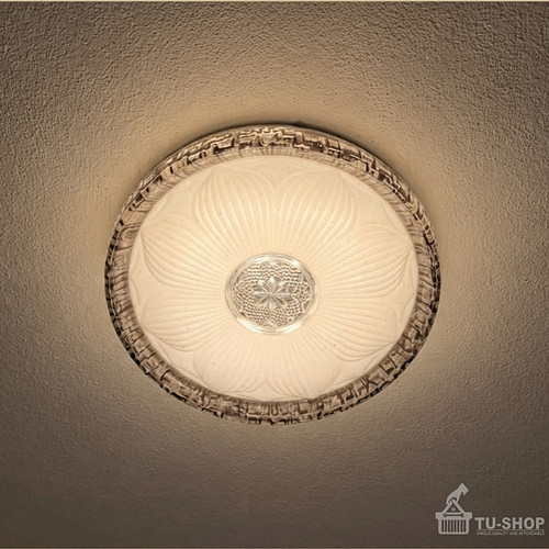Led ceiling light 