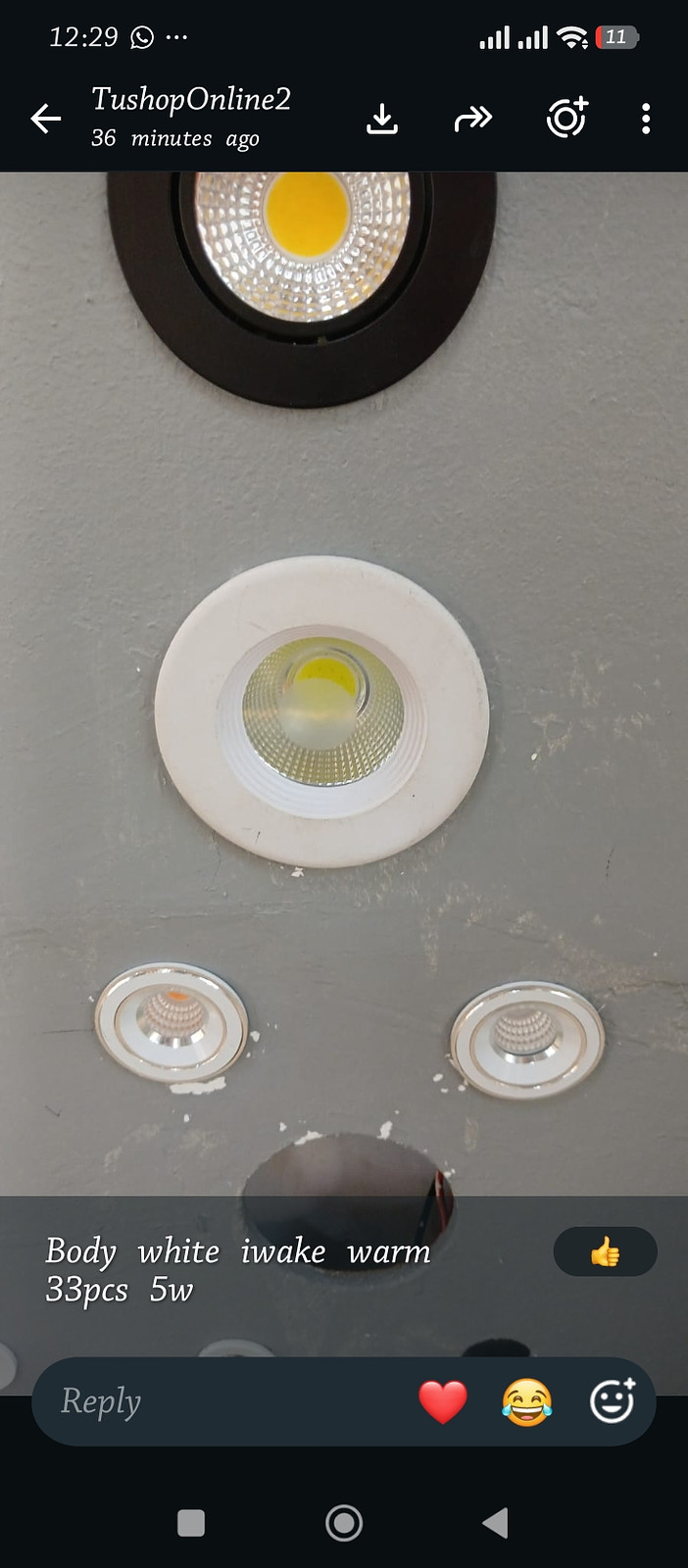 3w, 5w downlighter