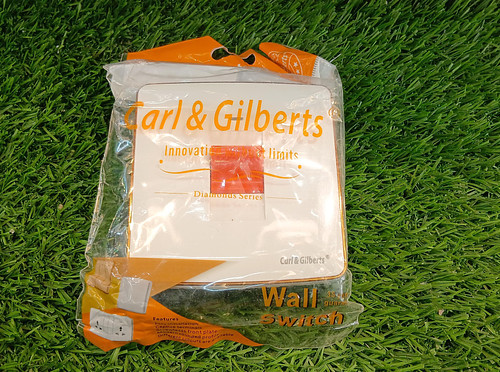 Carl&Gilbert dp(water heater) switch