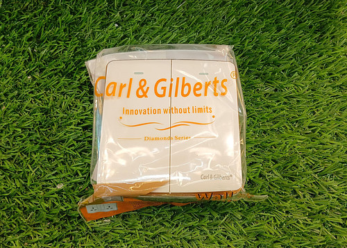 Carl&Gilbert 2gang switch