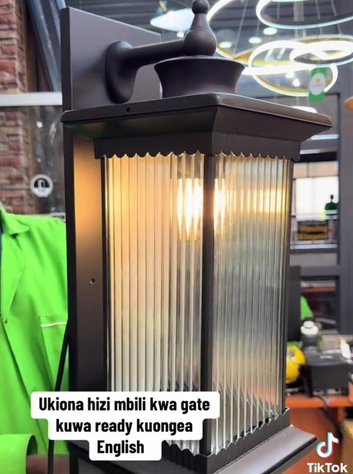 Modern gate light