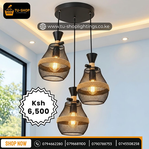 Modern mesh pendant light