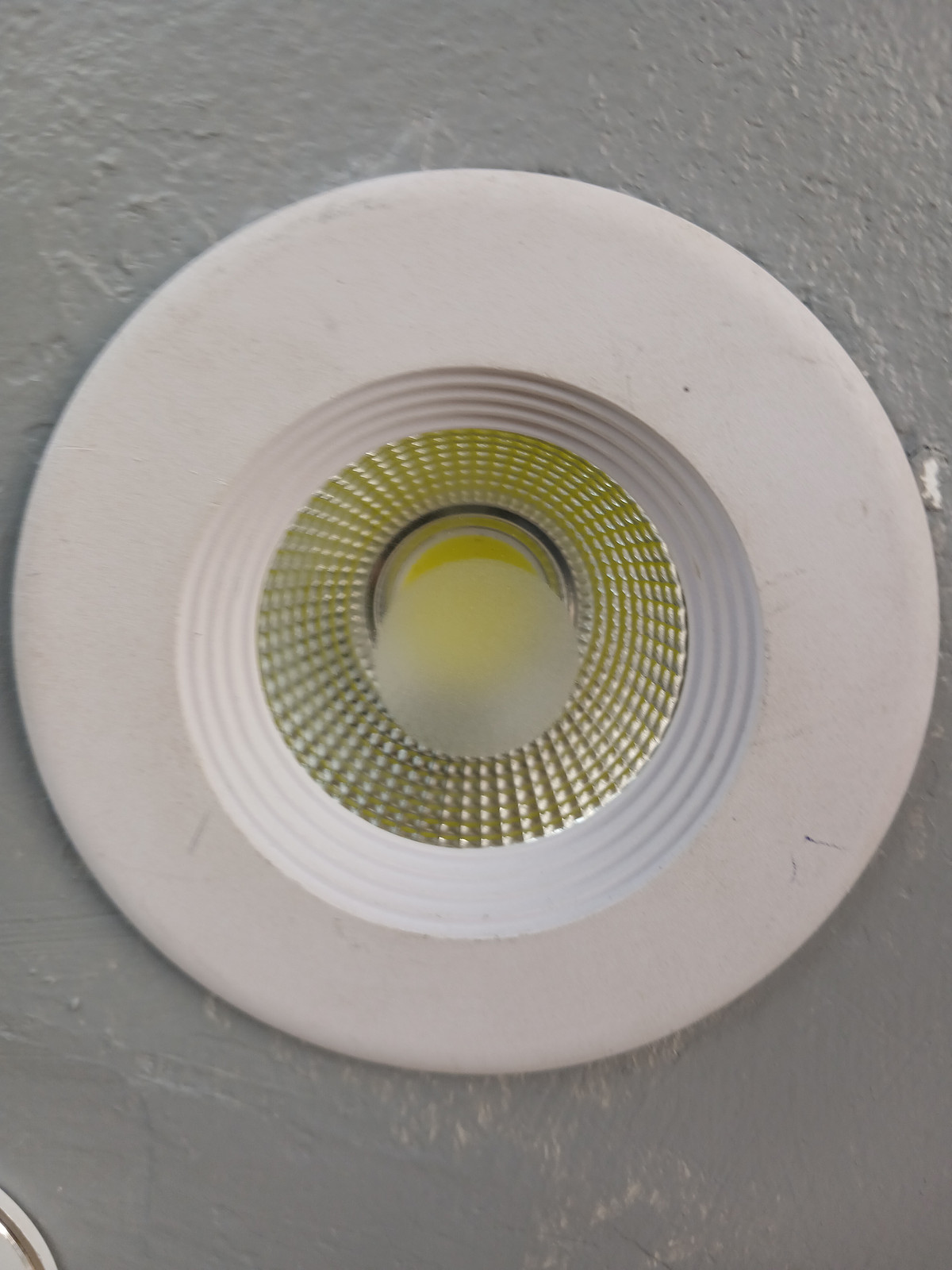 15w white Downlighter 