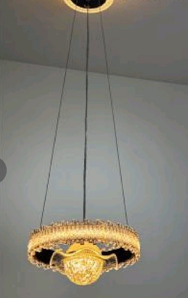 Modern Led chandelier light 